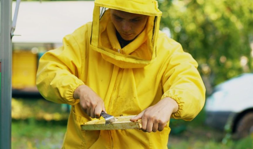 Bee removal insurance example